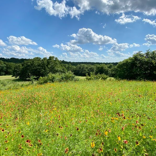 Oaklake Trails Naturist Park Review